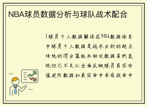 NBA球员数据分析与球队战术配合